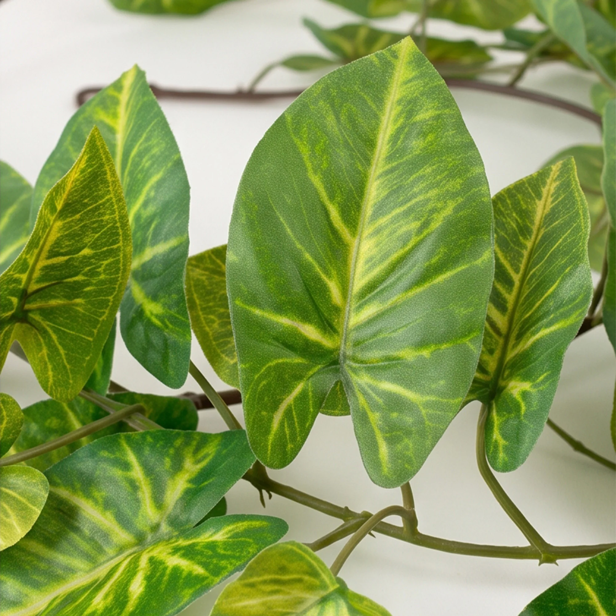 Green & Cream Caladium Spider Artificial Foliage Garland – 182cm