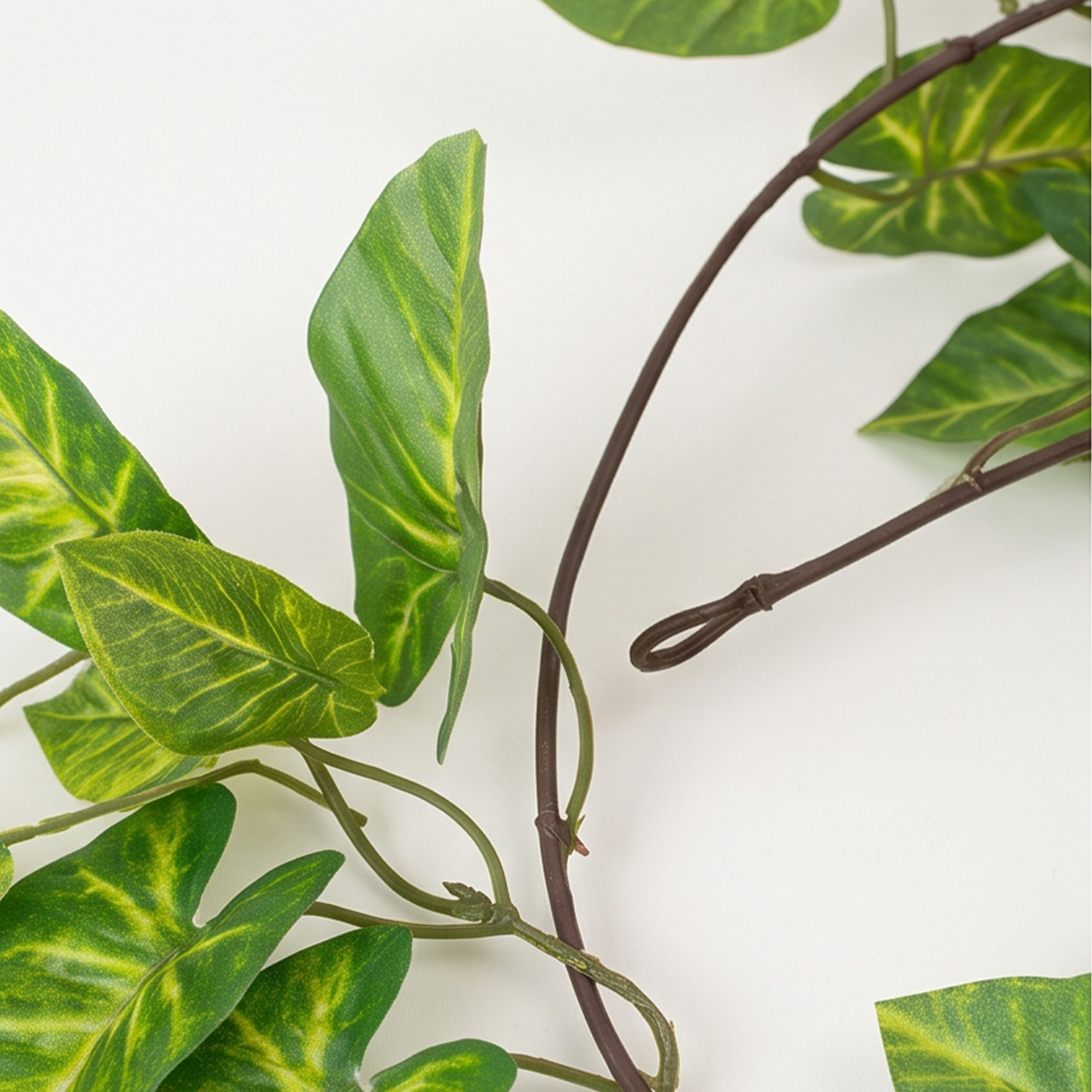 Green & Cream Caladium Spider Artificial Foliage Garland – 182cm