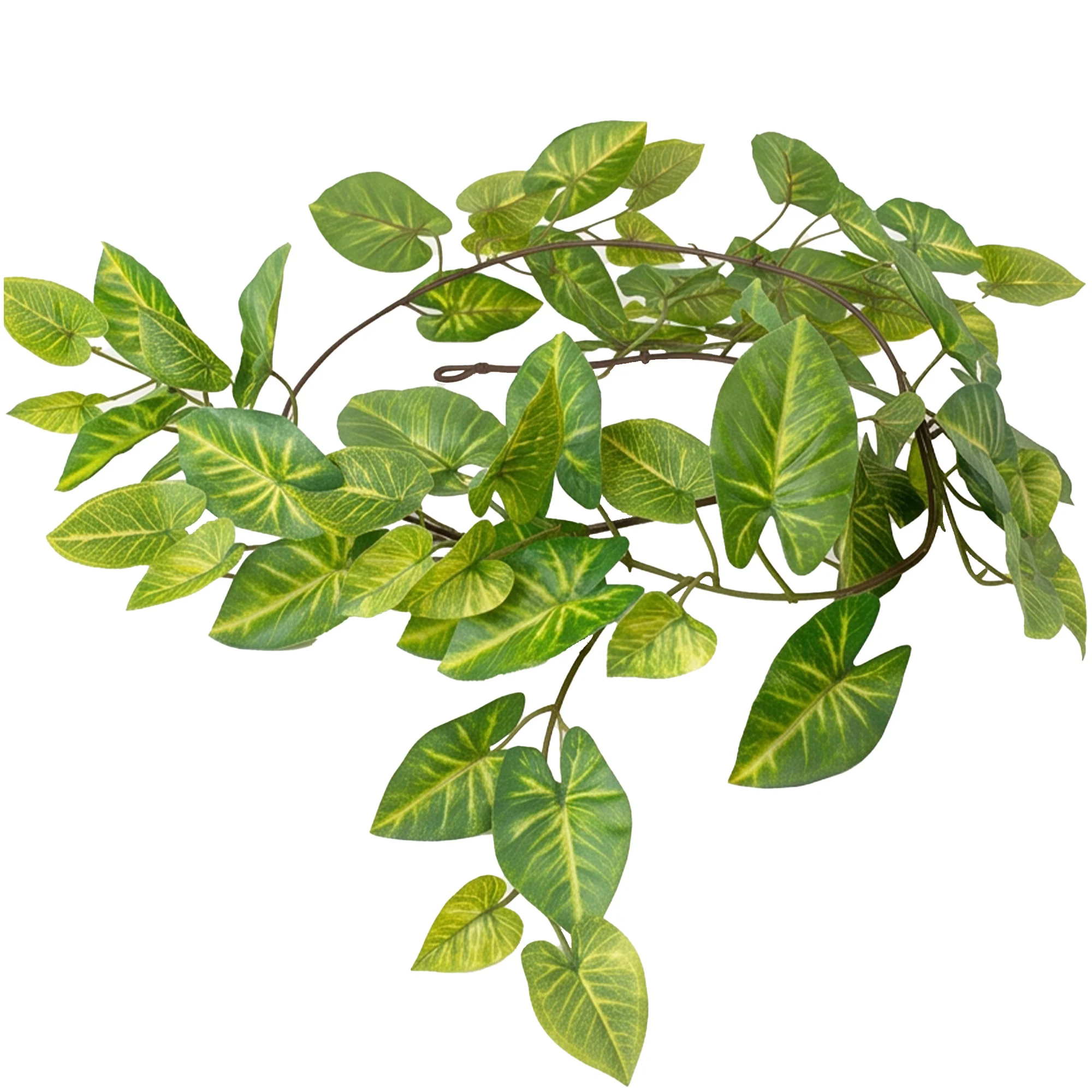 Green & Cream Caladium Spider Artificial Foliage Garland – 182cm