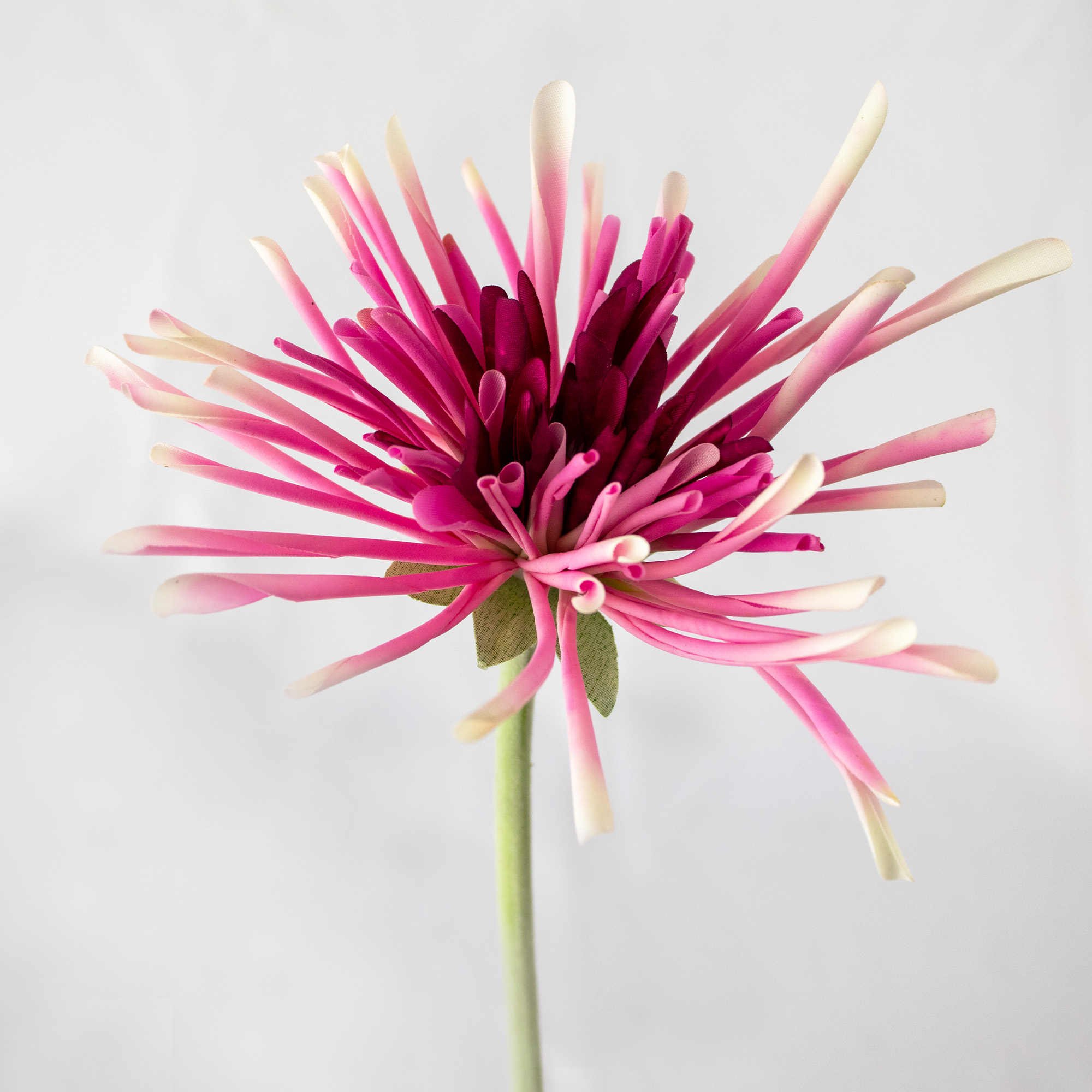 Pink & White Spider Mum Artificial Flower Stem – 60cm