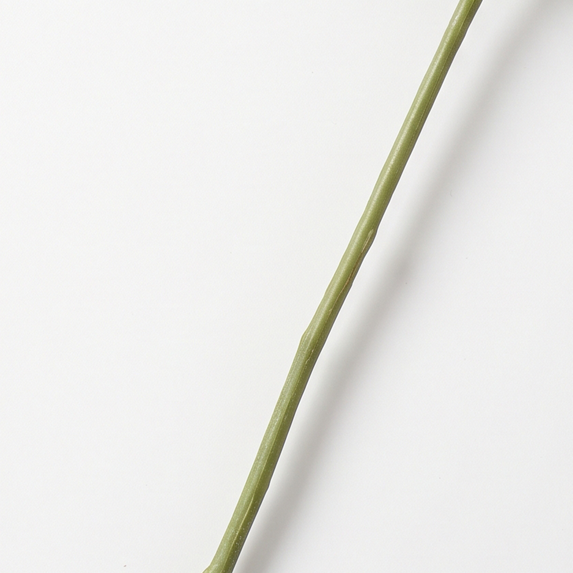Pink & White Spider Mum Artificial Flower Stem – 60cm