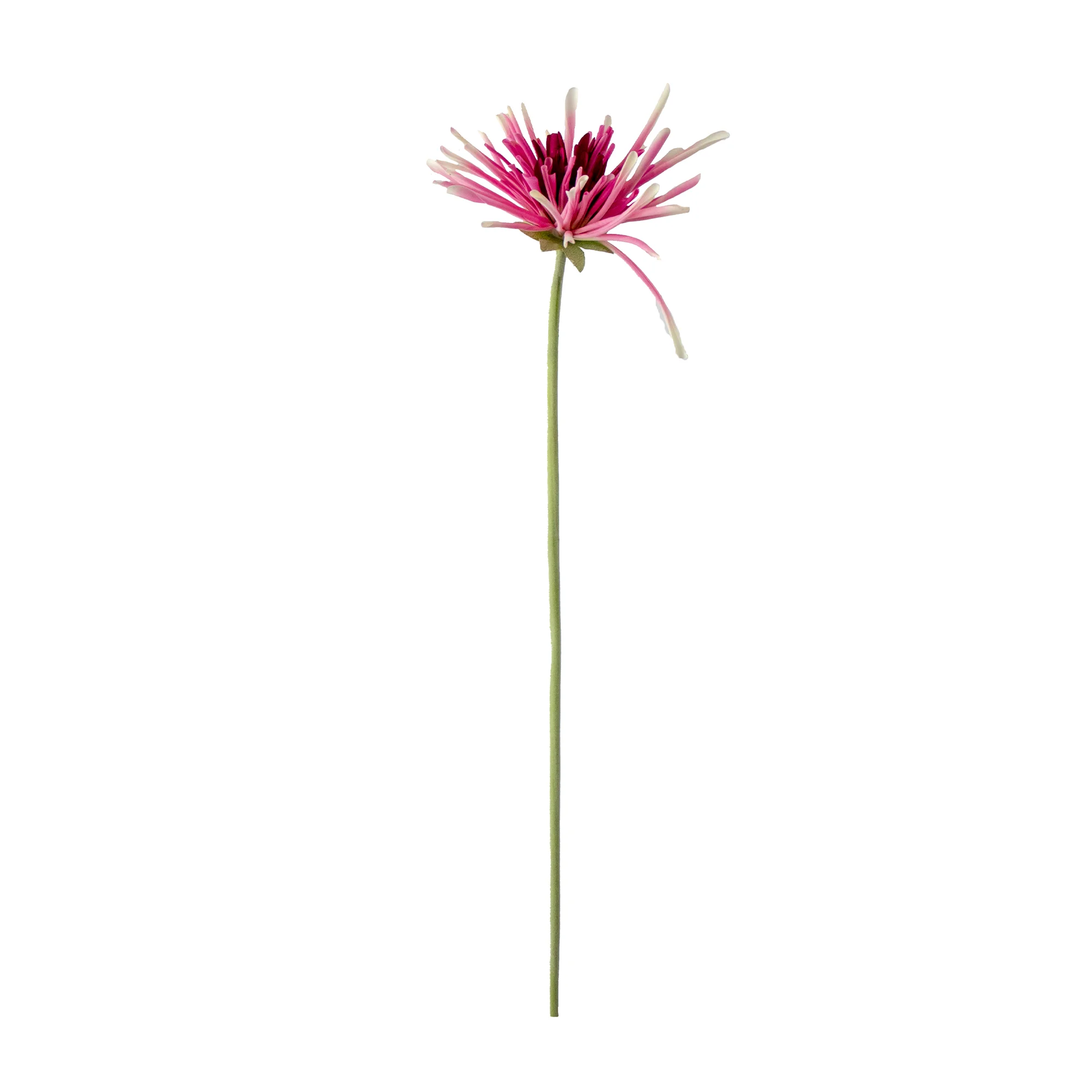 Pink & White Spider Mum Artificial Flower Stem – 60cm