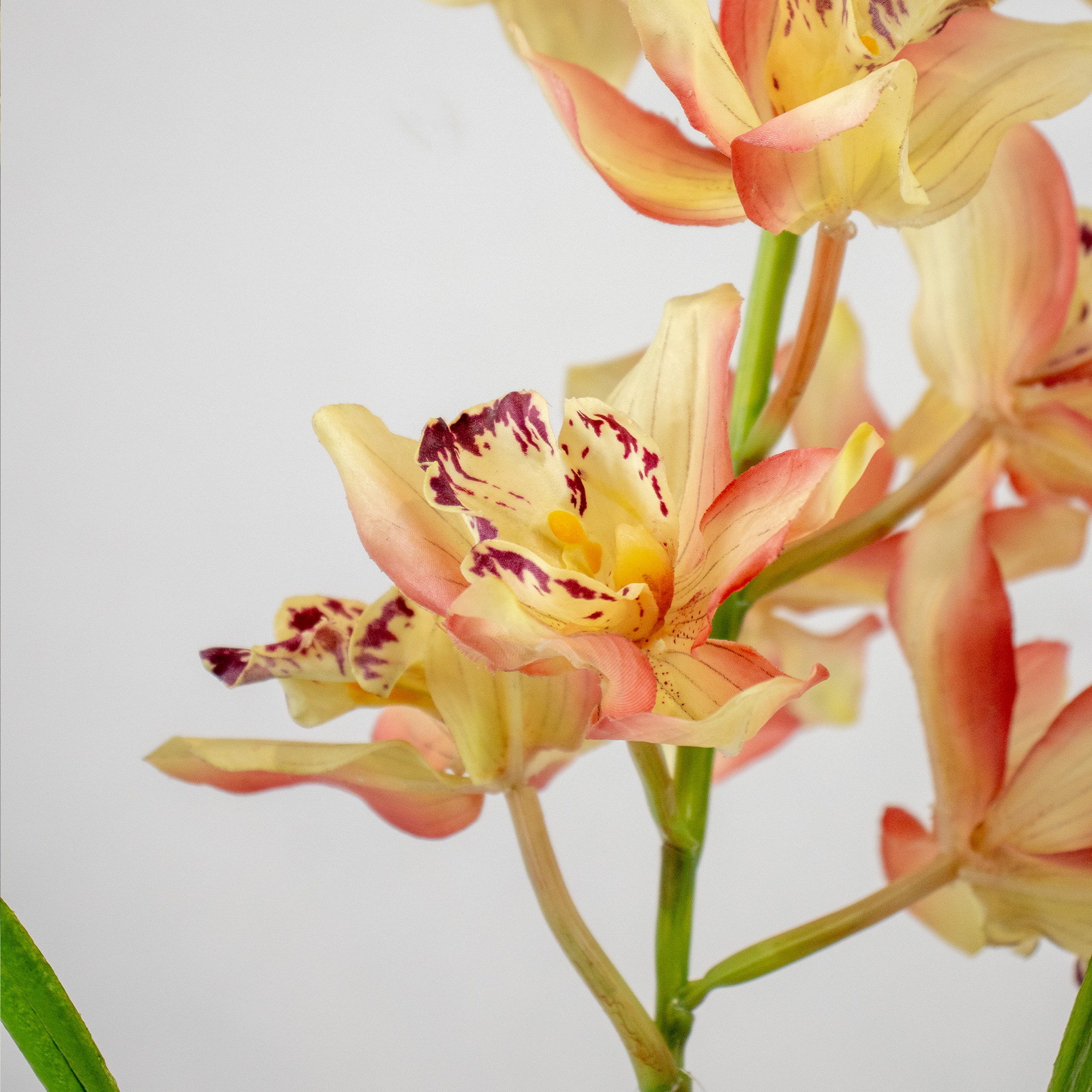 Large Dark Mauve & Cream Artificial Cymbidium Orchid in Nursery Pot