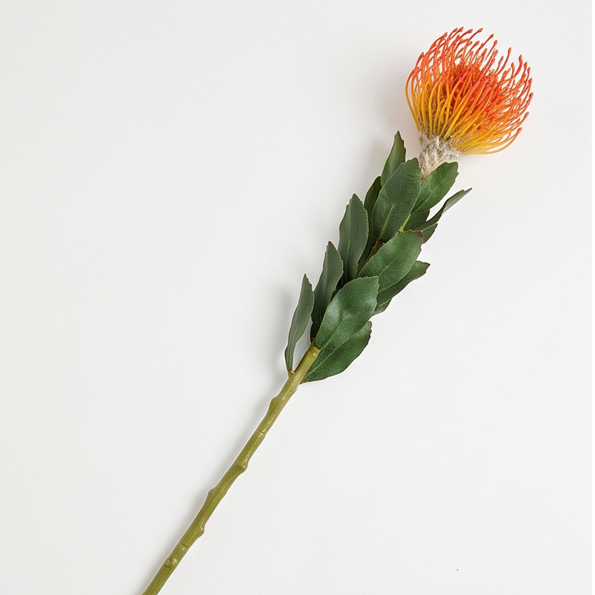 Light Orange & Lime Leucospermum Artificial Pincushion Stem – 63cm