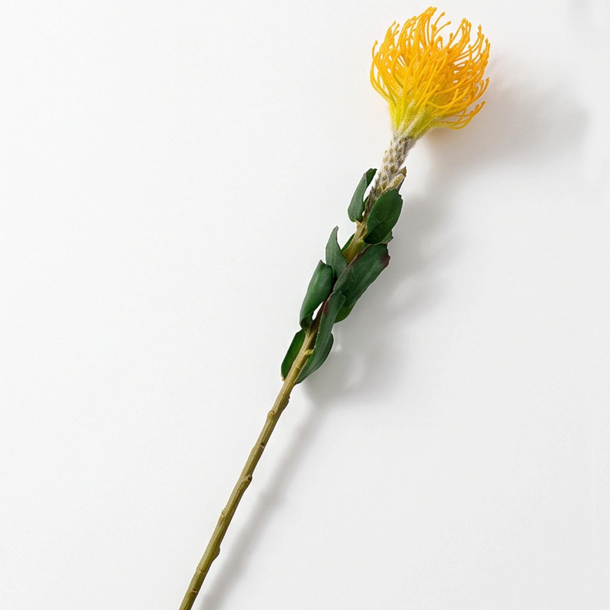 Yellow Leucospermum Artificial Pincushion Stem – 63cm