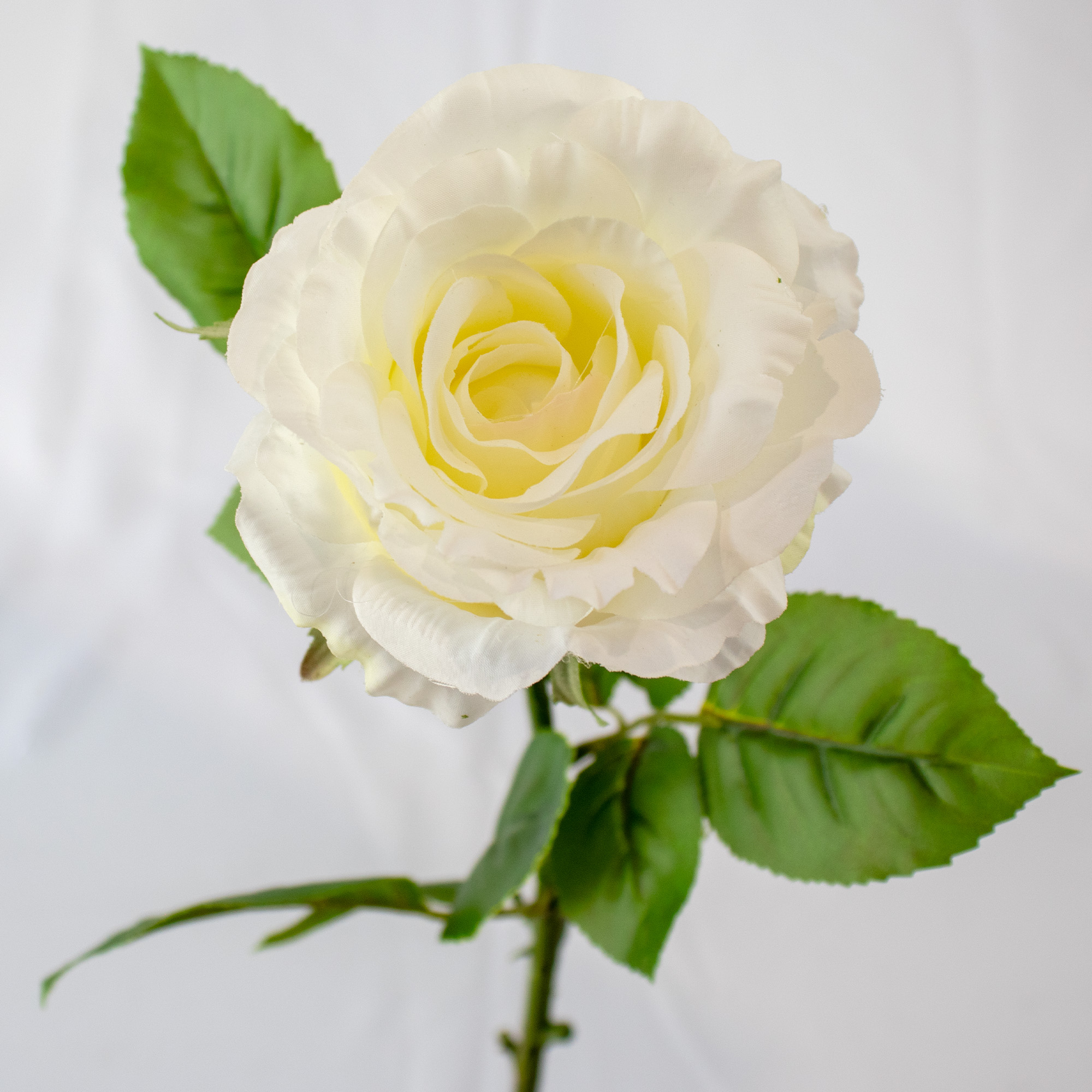 White & Cream Rose Artificial Flower Stem – 62cm