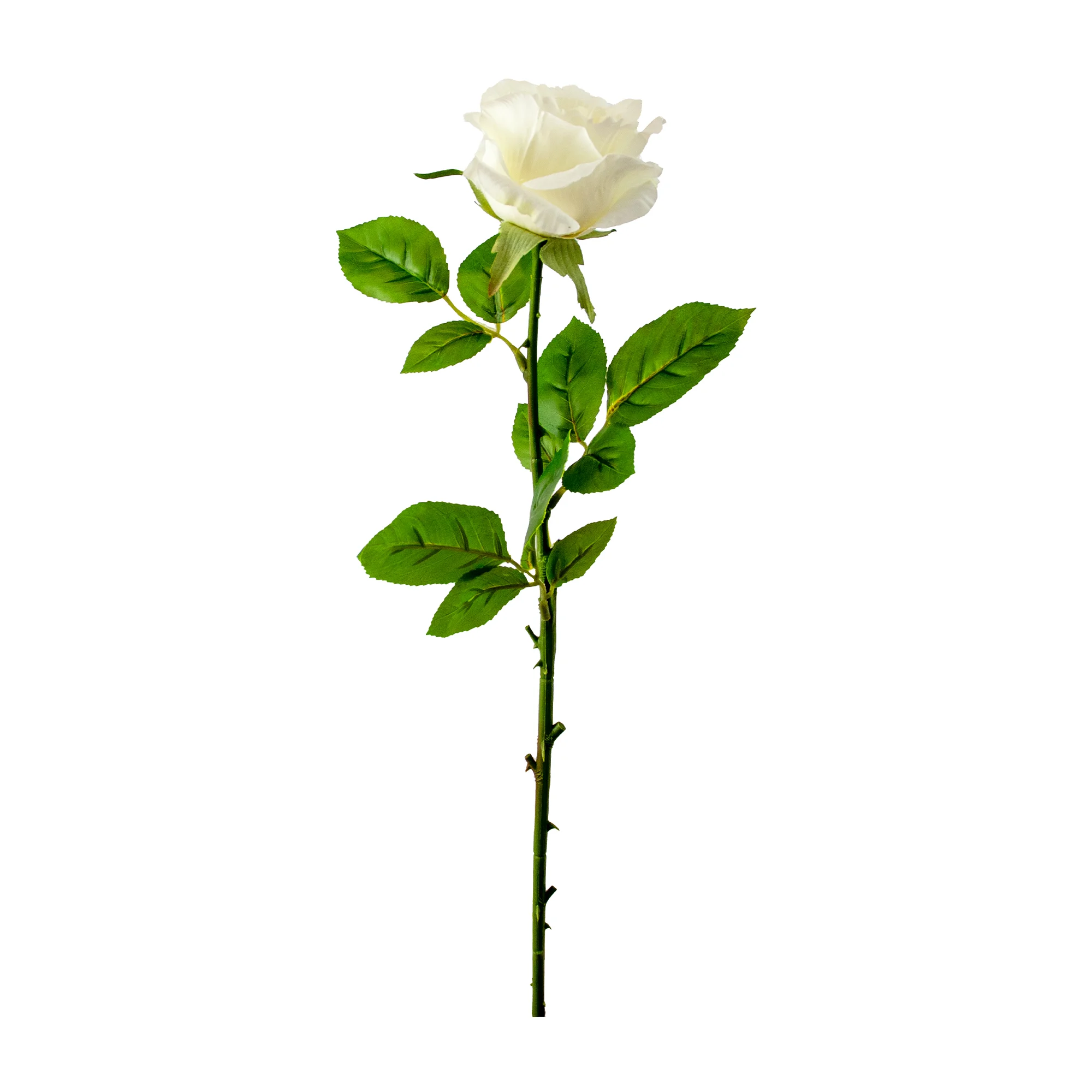 White & Cream Rose Artificial Flower Stem – 62cm