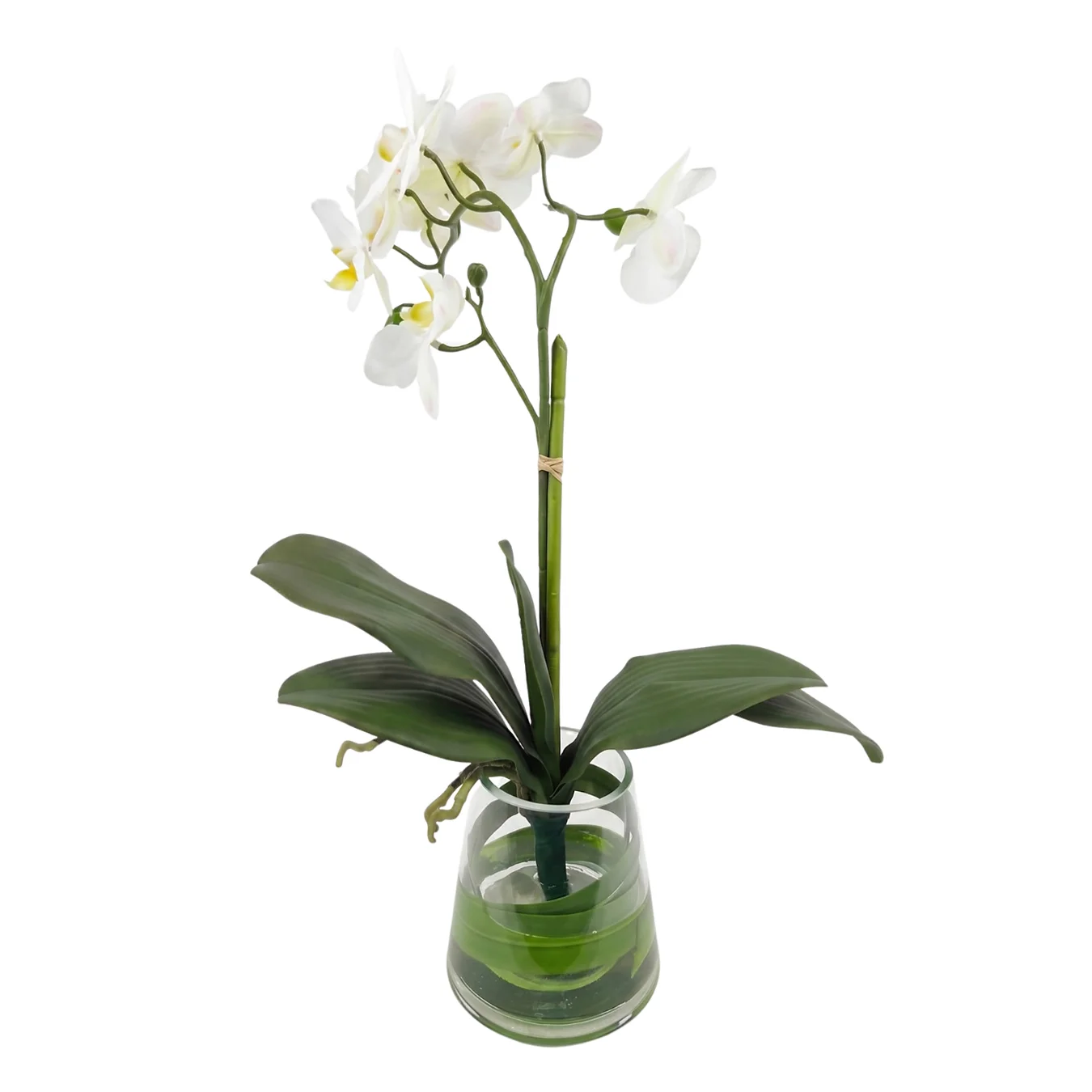 Small White Phalaenopsis Orchid Arrangement | Silk By Design