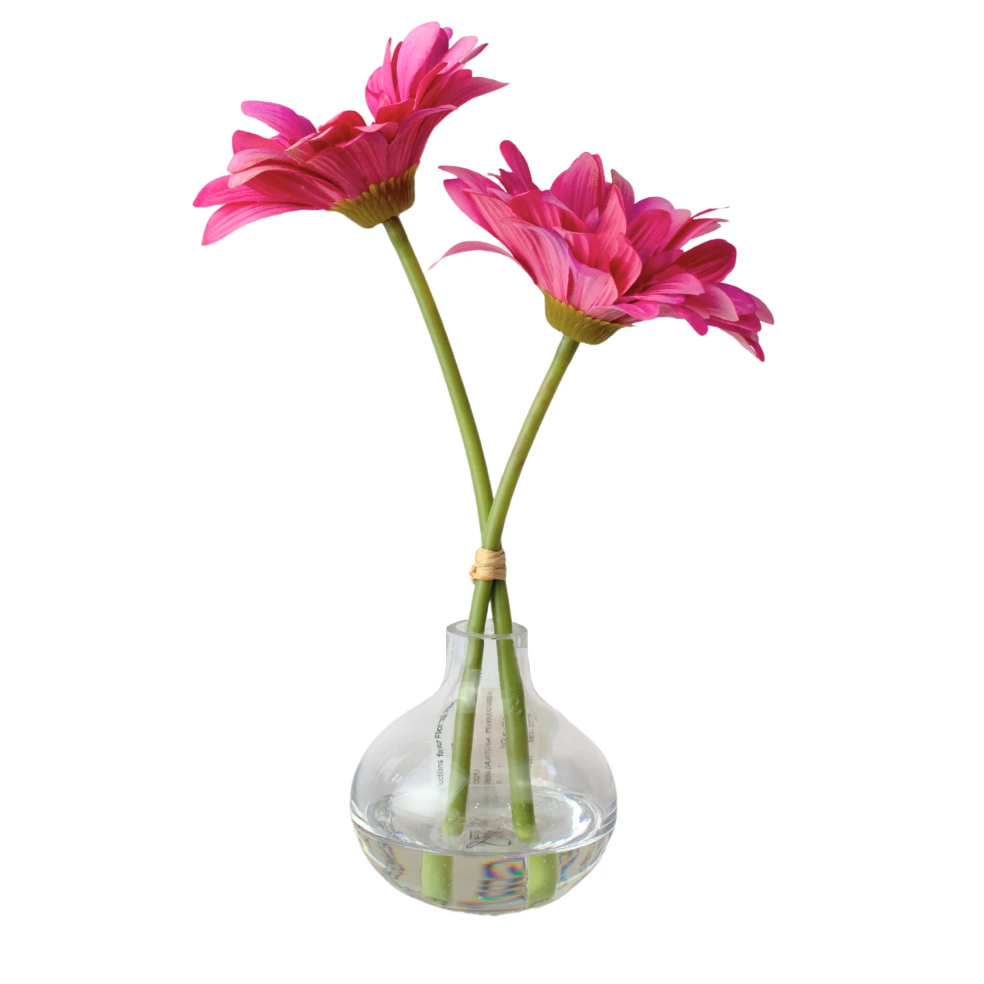 Fuchsia Gerbera Daisy In Bud Vase