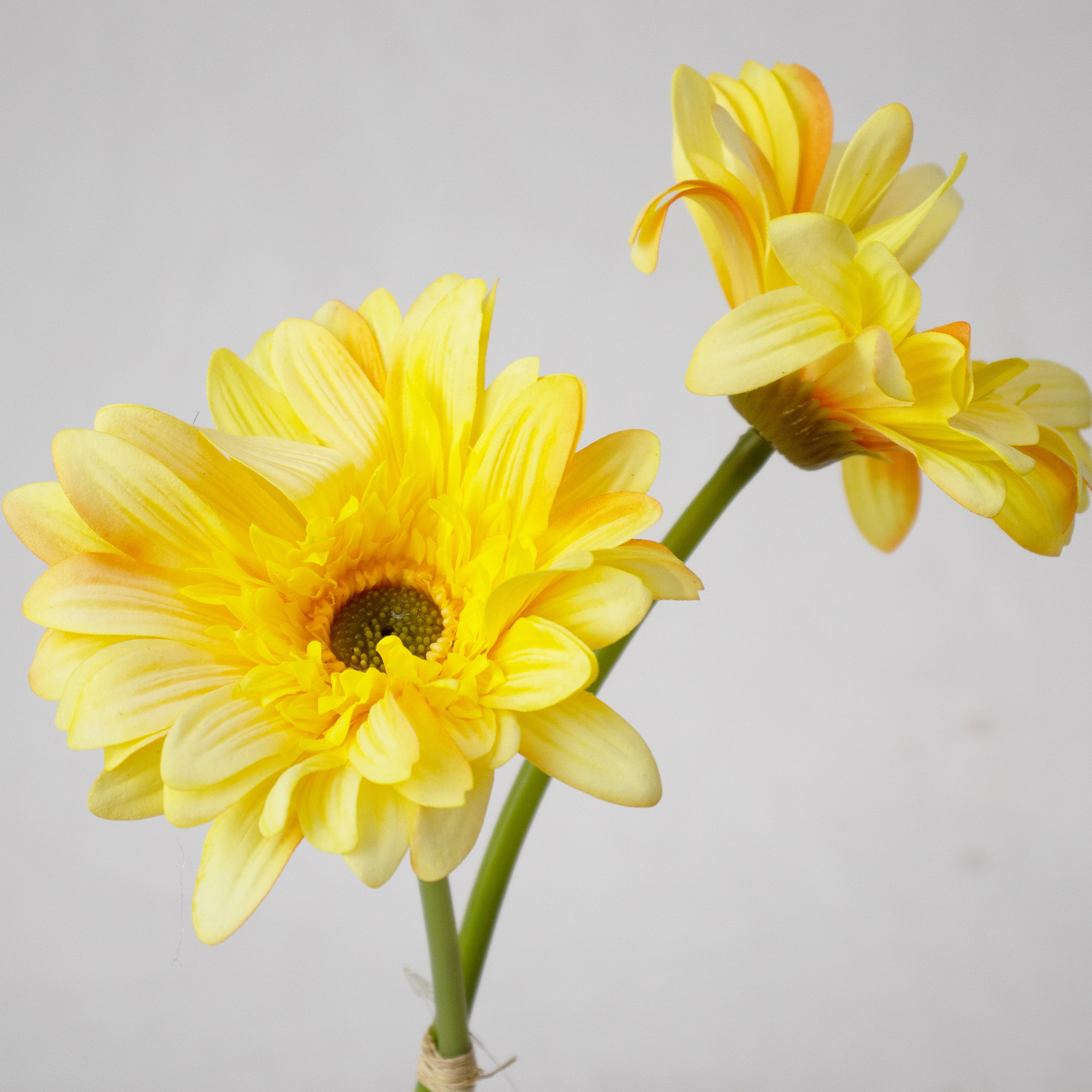 Yellow Gerbera Daisy Arrangement in Glass Bud Vase – 33cm