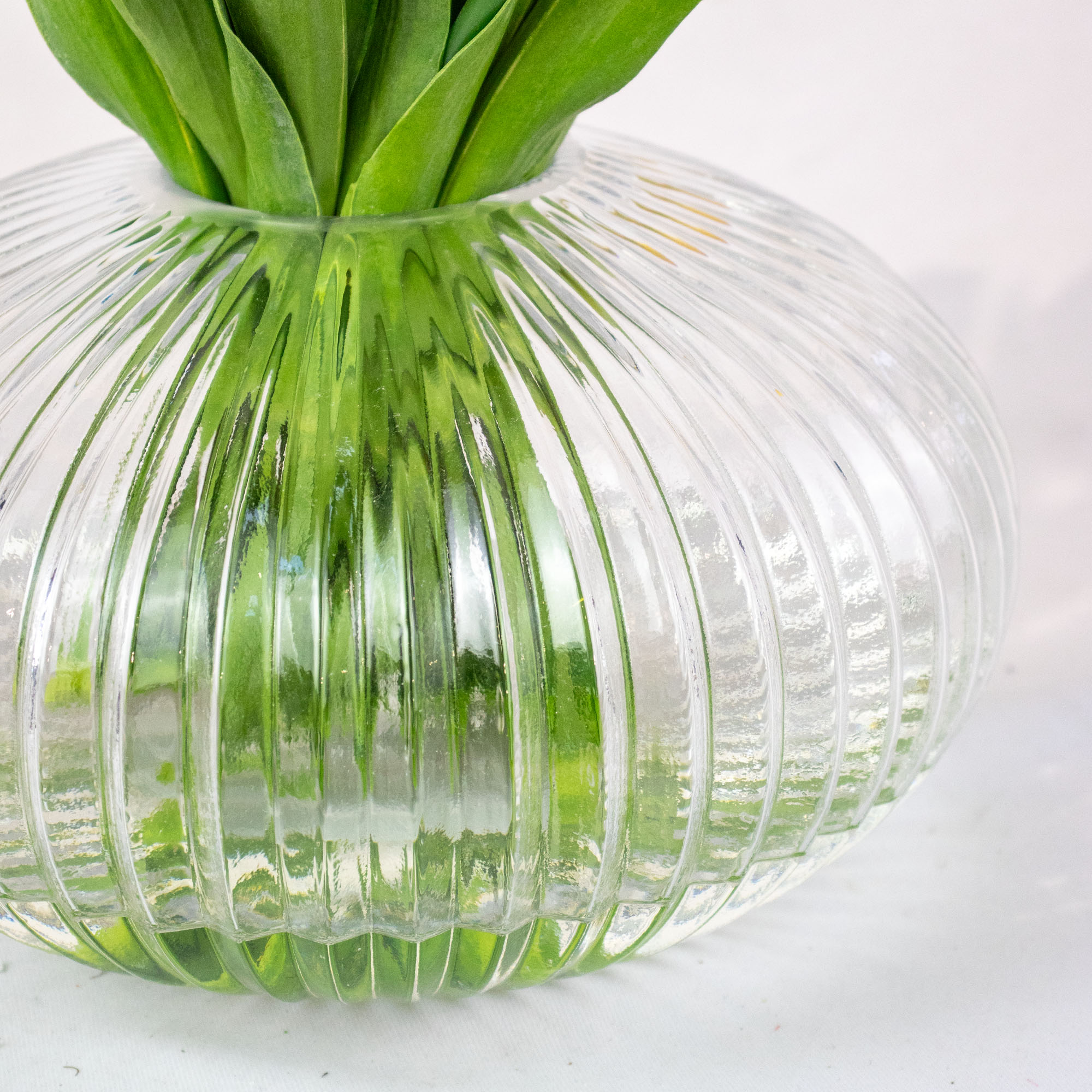 Medium Yellow Tulip Arrangement in Low-Ribbed Glass Vase