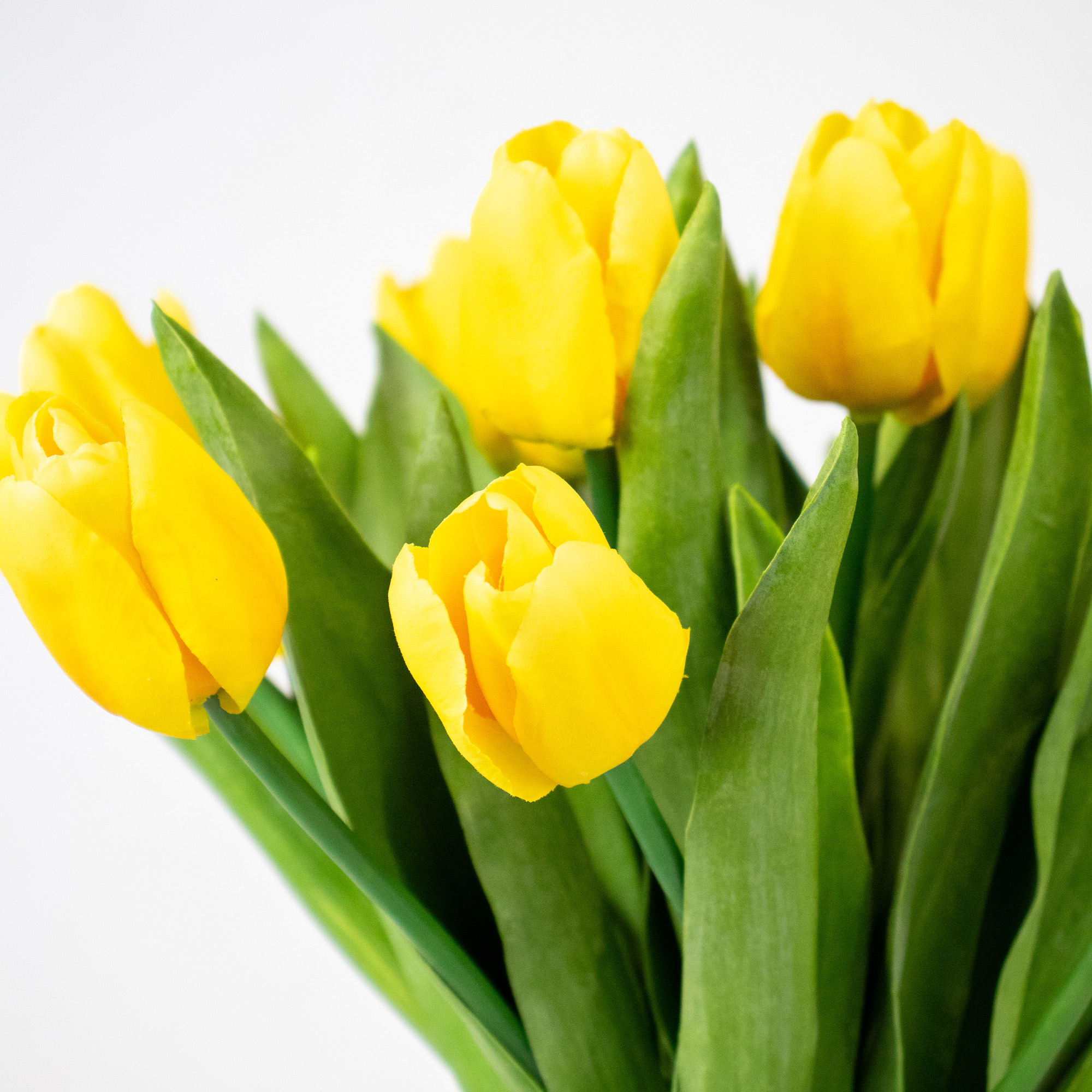 Medium Yellow Tulip Arrangement in Low-Ribbed Glass Vase