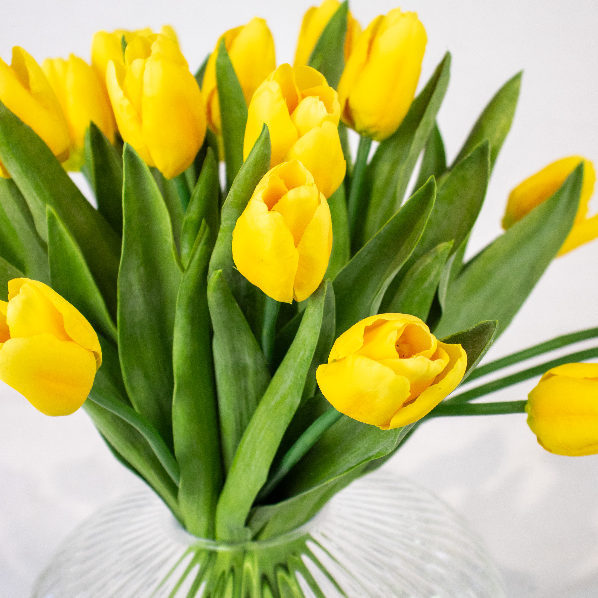 Medium Yellow Tulip Arrangement in Low-Ribbed Glass Vase