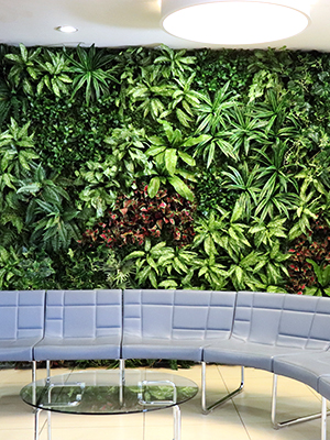 Office Greenwall installation by Silk by Design