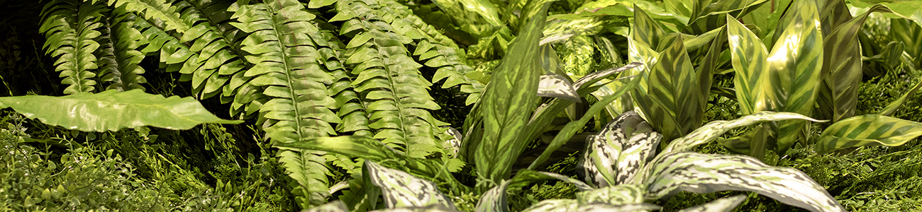 Planted Artificial Greenwall Vertical Garden