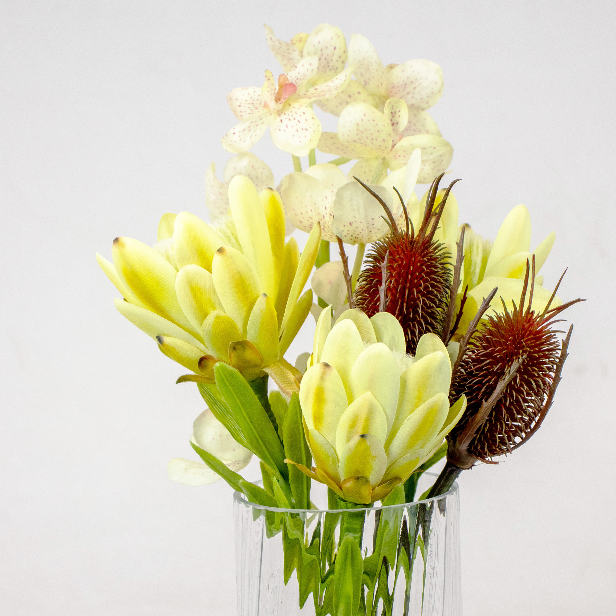 GREEN PROTEA, CONFETTI ORCHID & BANKSIA IN RIBBED GLASS VASE