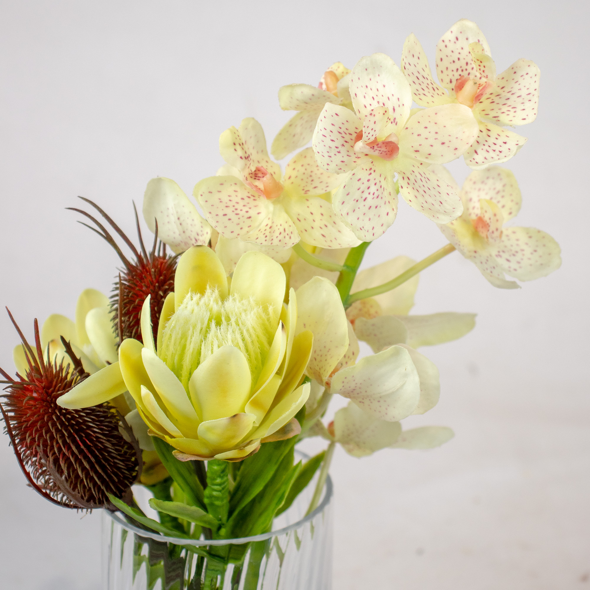 GREEN PROTEA, CONFETTI ORCHID & BANKSIA IN RIBBED GLASS VASE