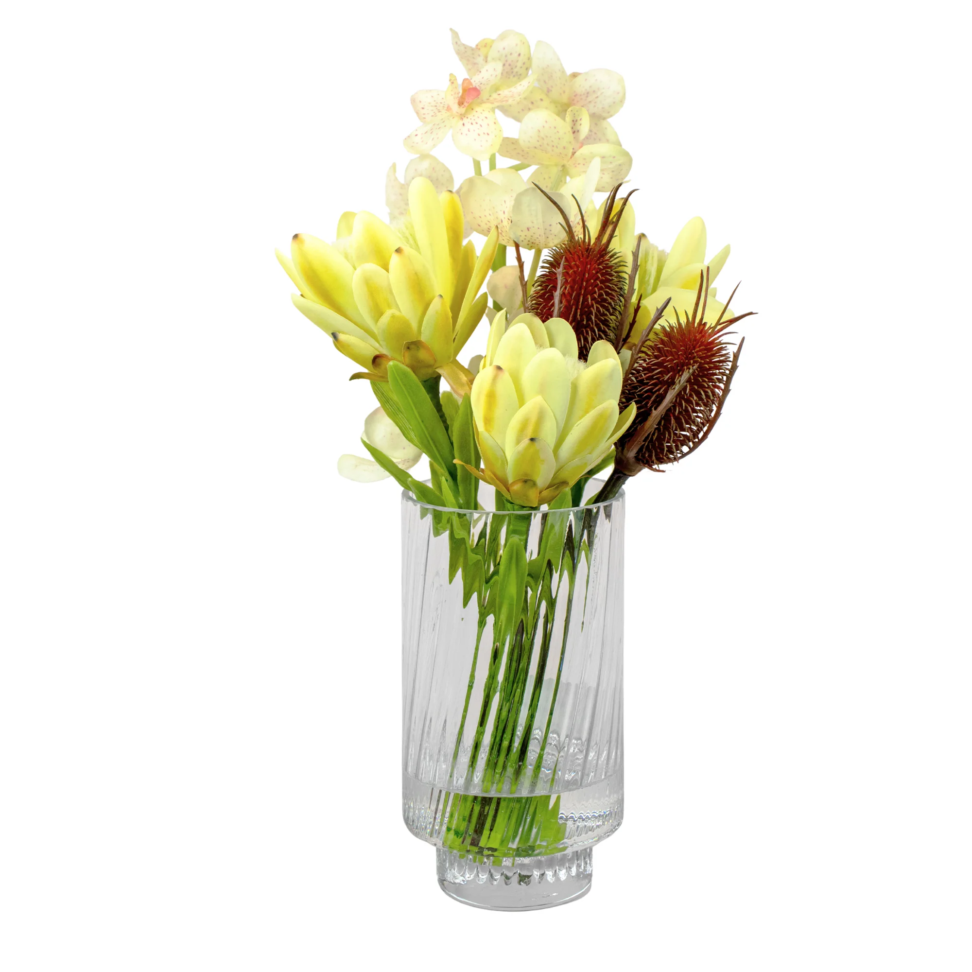 GREEN PROTEA, CONFETTI ORCHID & BANKSIA IN RIBBED GLASS VASE
