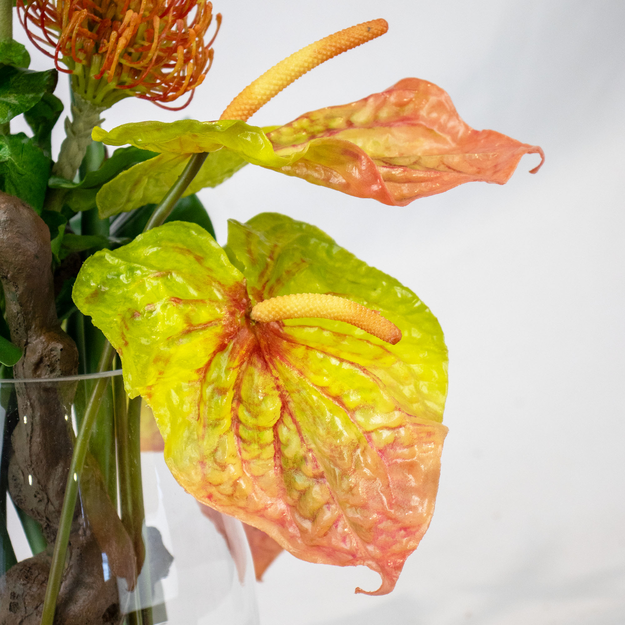 STRELITZIA WITH PINCUSHION AND BARK IN VASE