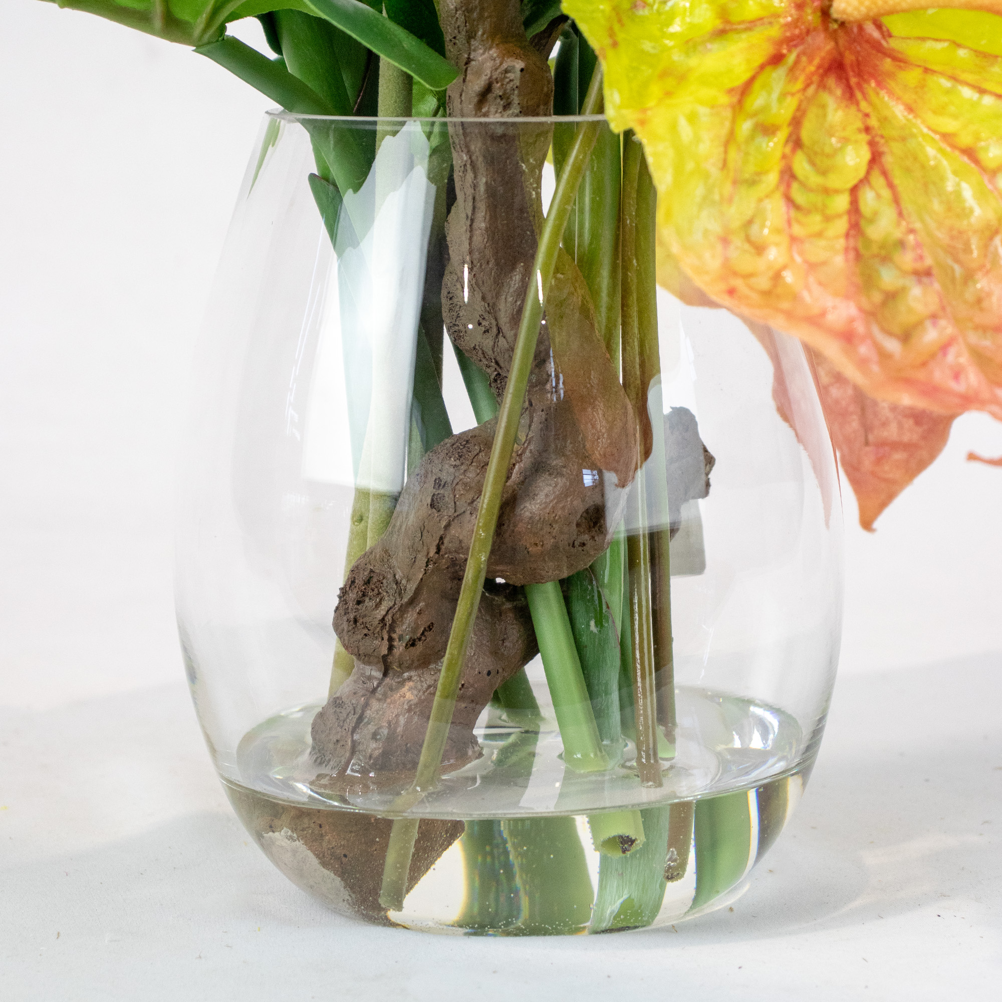 STRELITZIA WITH PINCUSHION AND BARK IN VASE