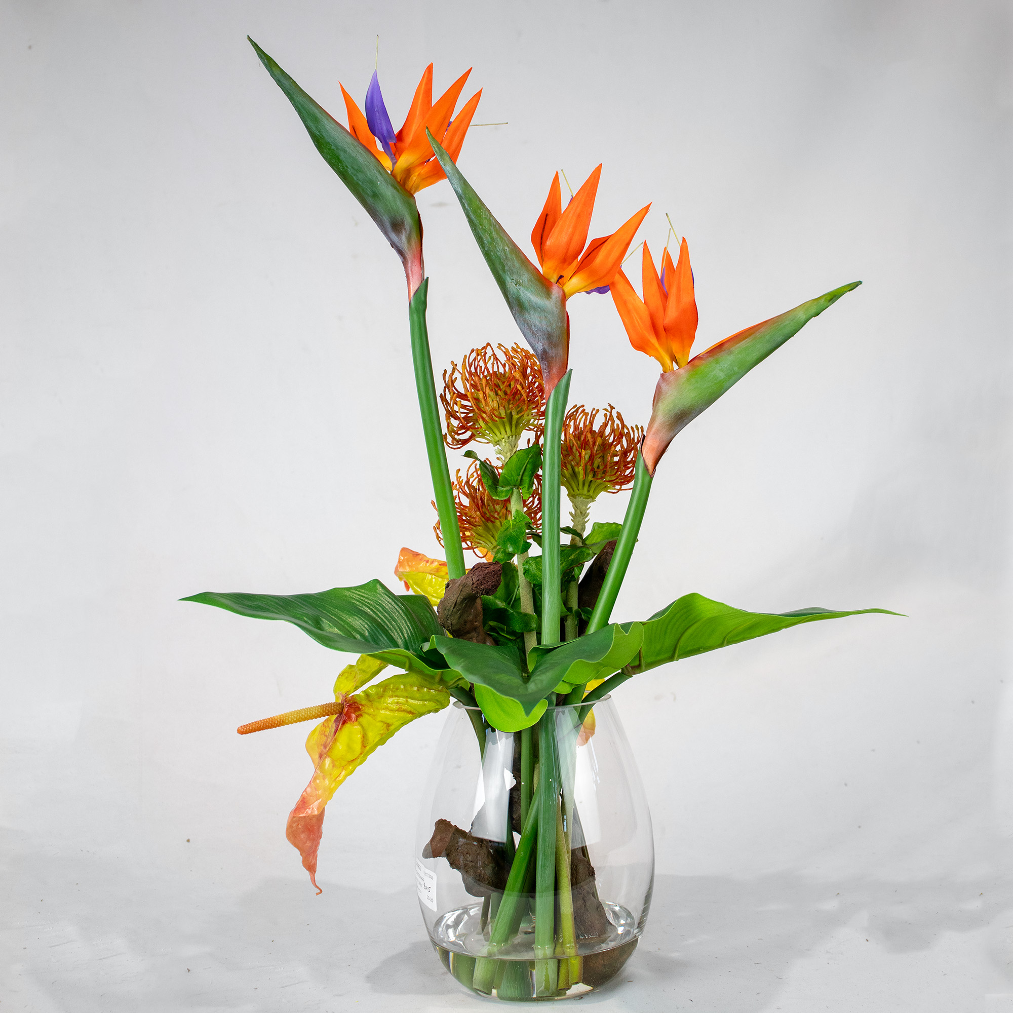 STRELITZIA WITH PINCUSHION AND BARK IN VASE