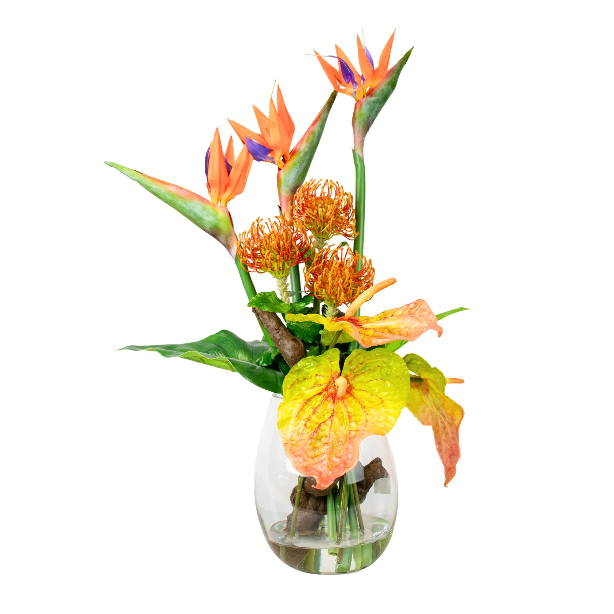 STRELITZIA WITH PINCUSHION AND BARK IN VASE