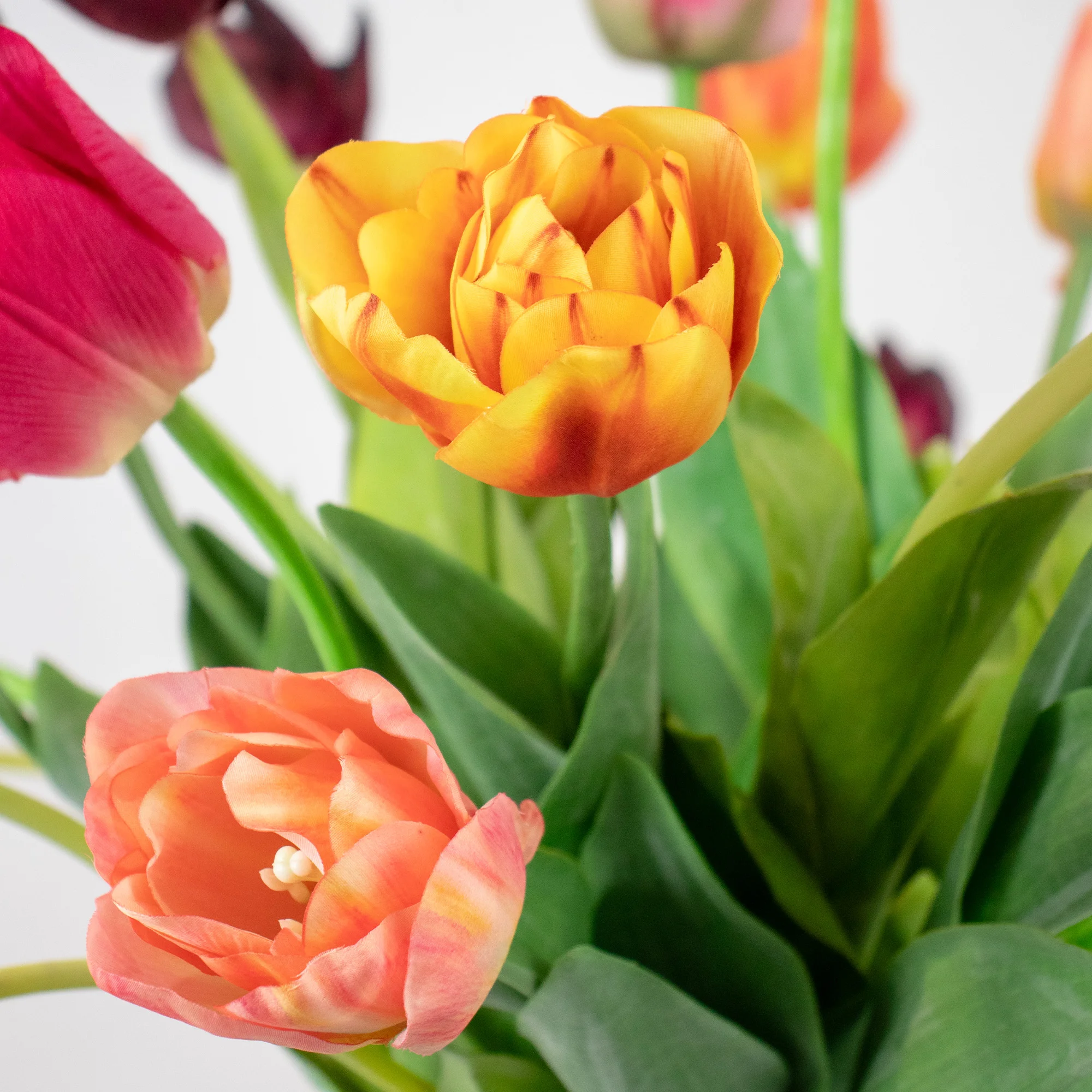 Large Vibrant Mixed Tulip Arrangement in Clear Glass Pedestal Vase