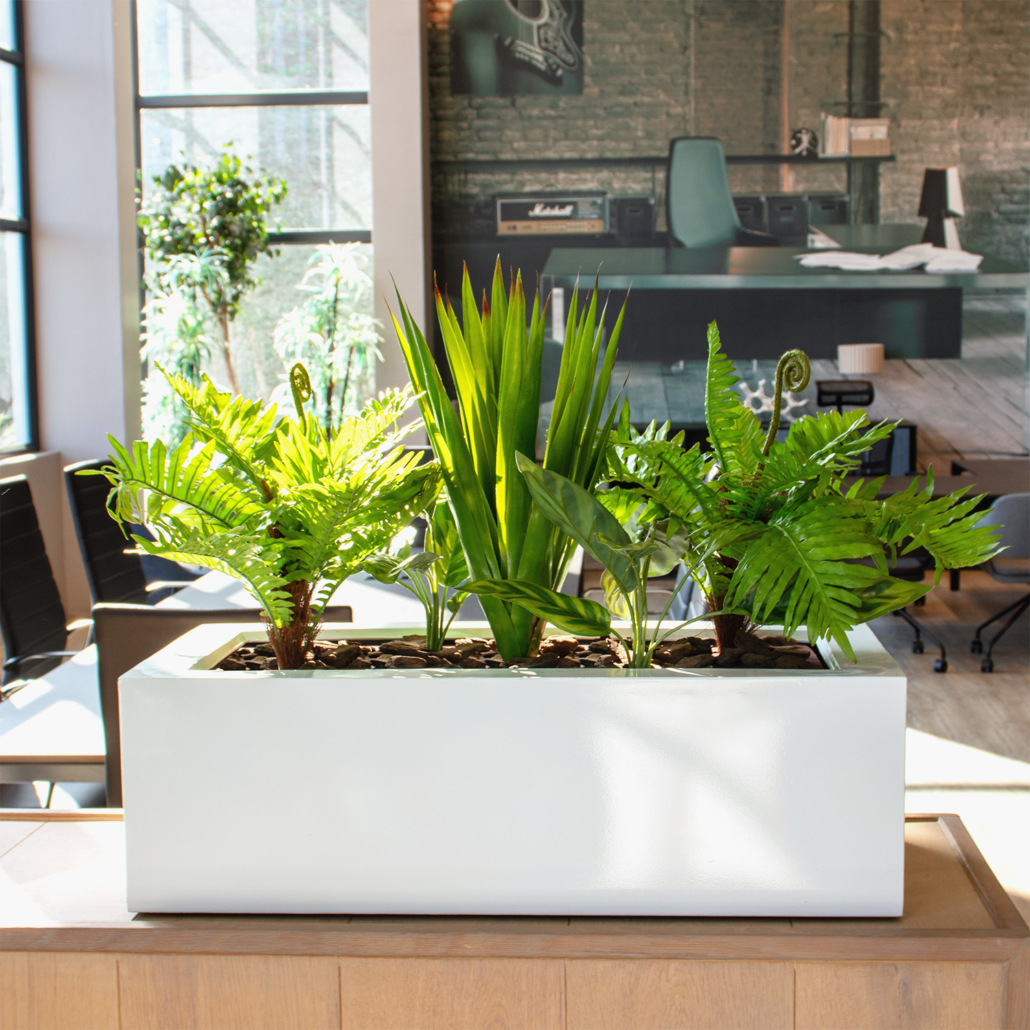 Office Range - Mixed Fern Planter Box