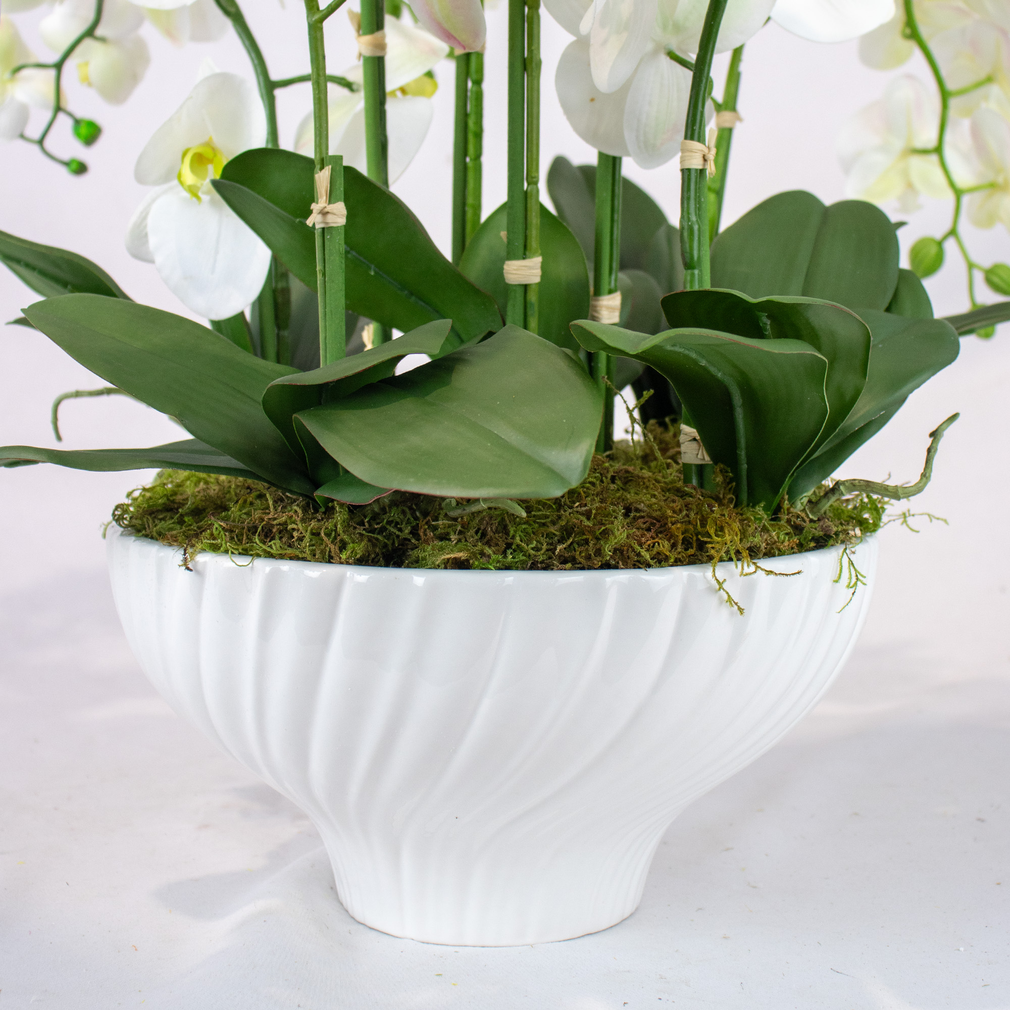Large White Phalaenopsis Orchid Arrangement in Luna Fluted Bowl Vase