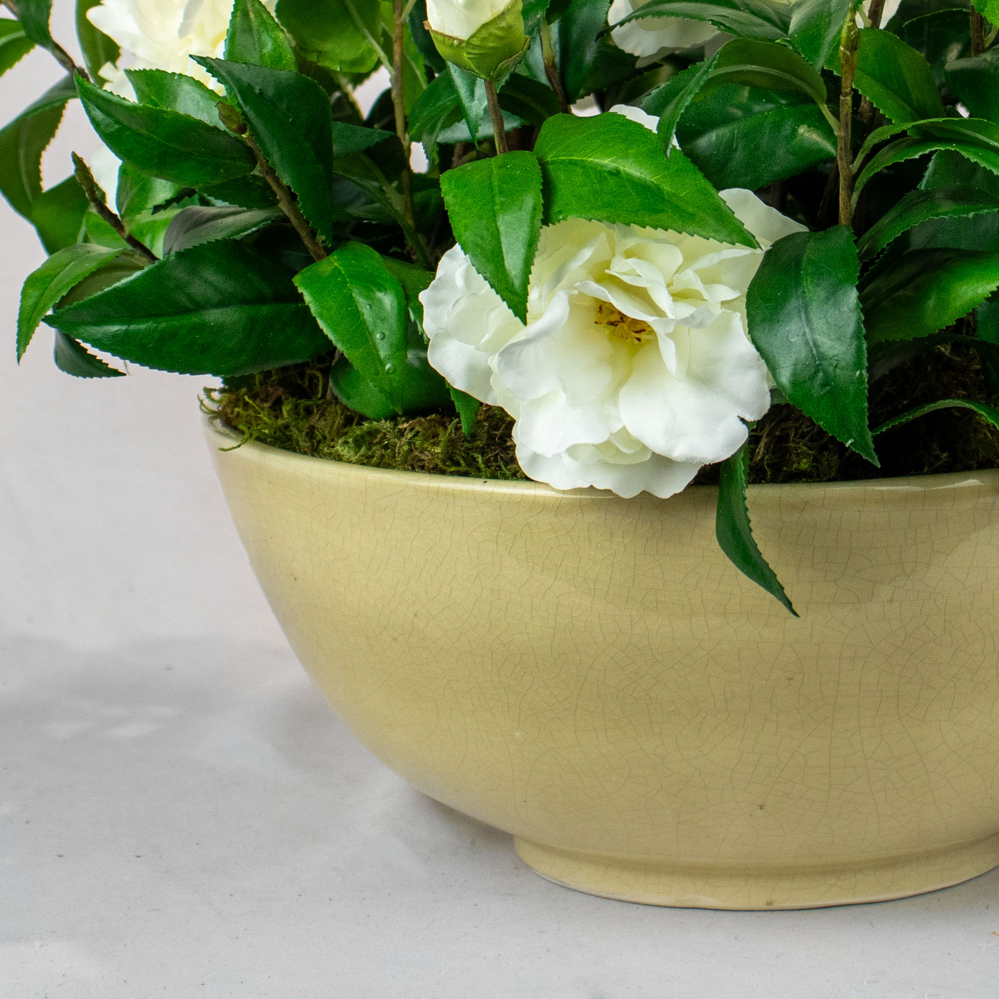 Medium Cream Camellia in Vintage Ceramic Bowl - Image 2