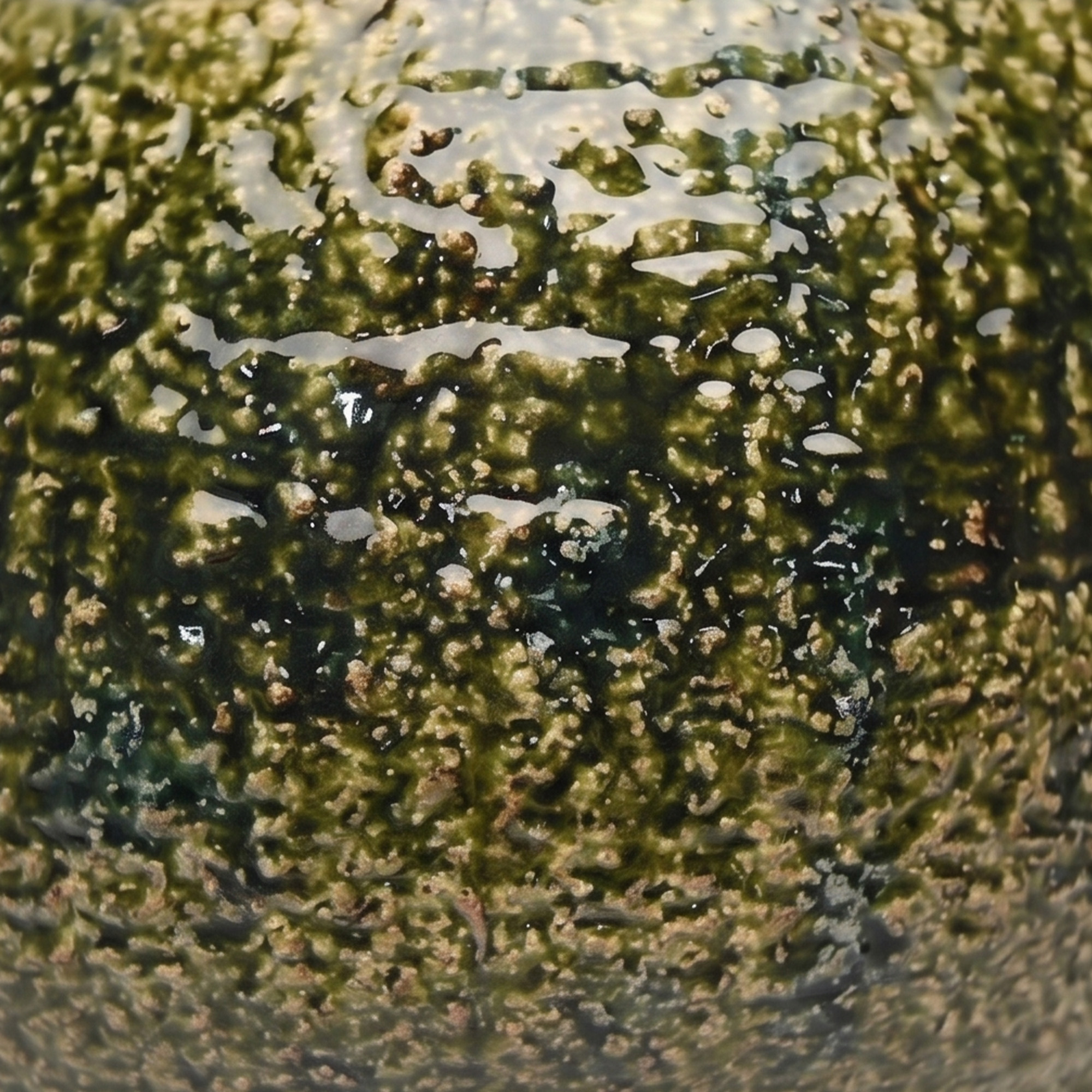 Extra large 31.5cm textured moss green ceramic pedestal bowl vase with a glossy glaze styled on a wooden dining room sideboard.