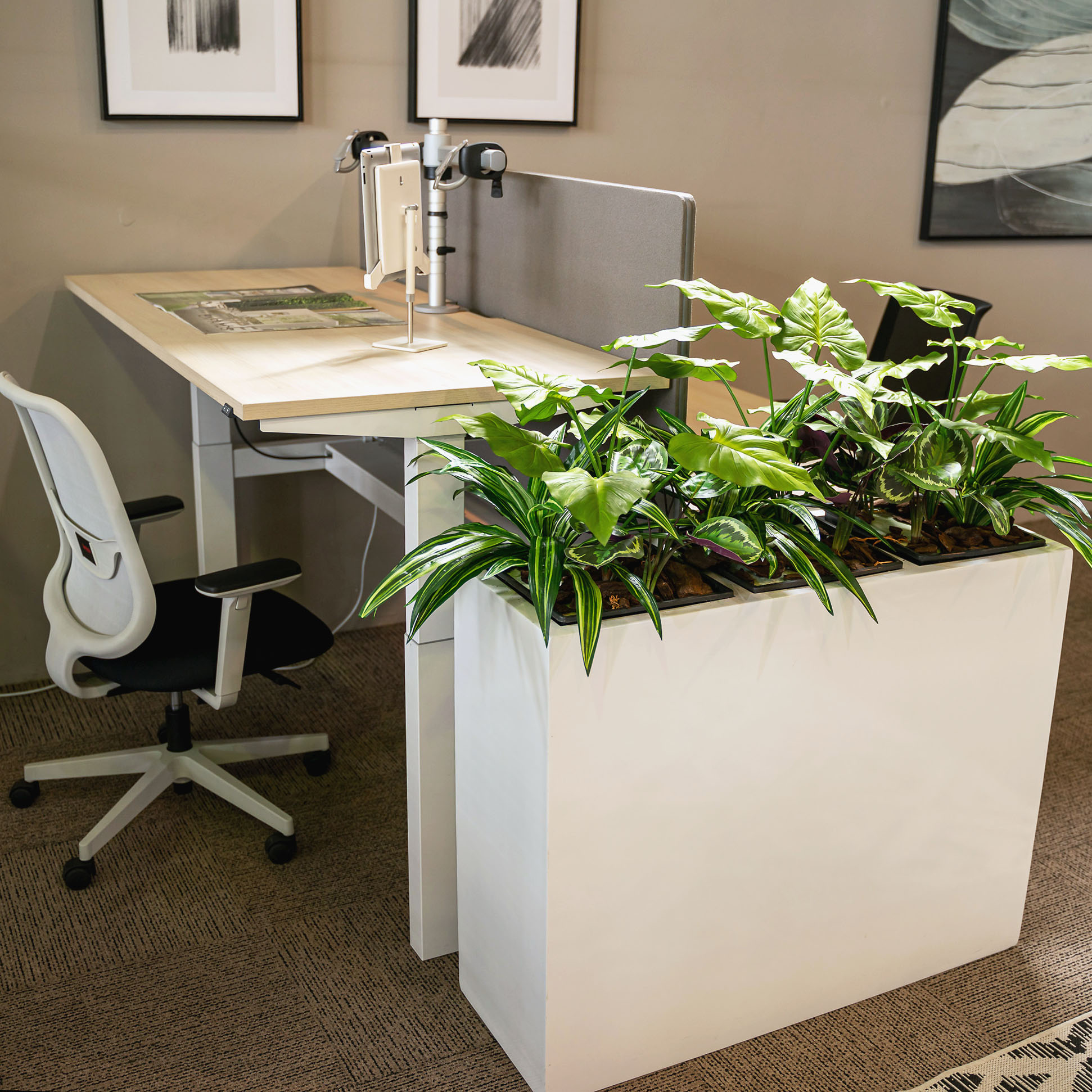 Mixed Artificial Greenery Plants as a Desk Privacy Divider in the Office