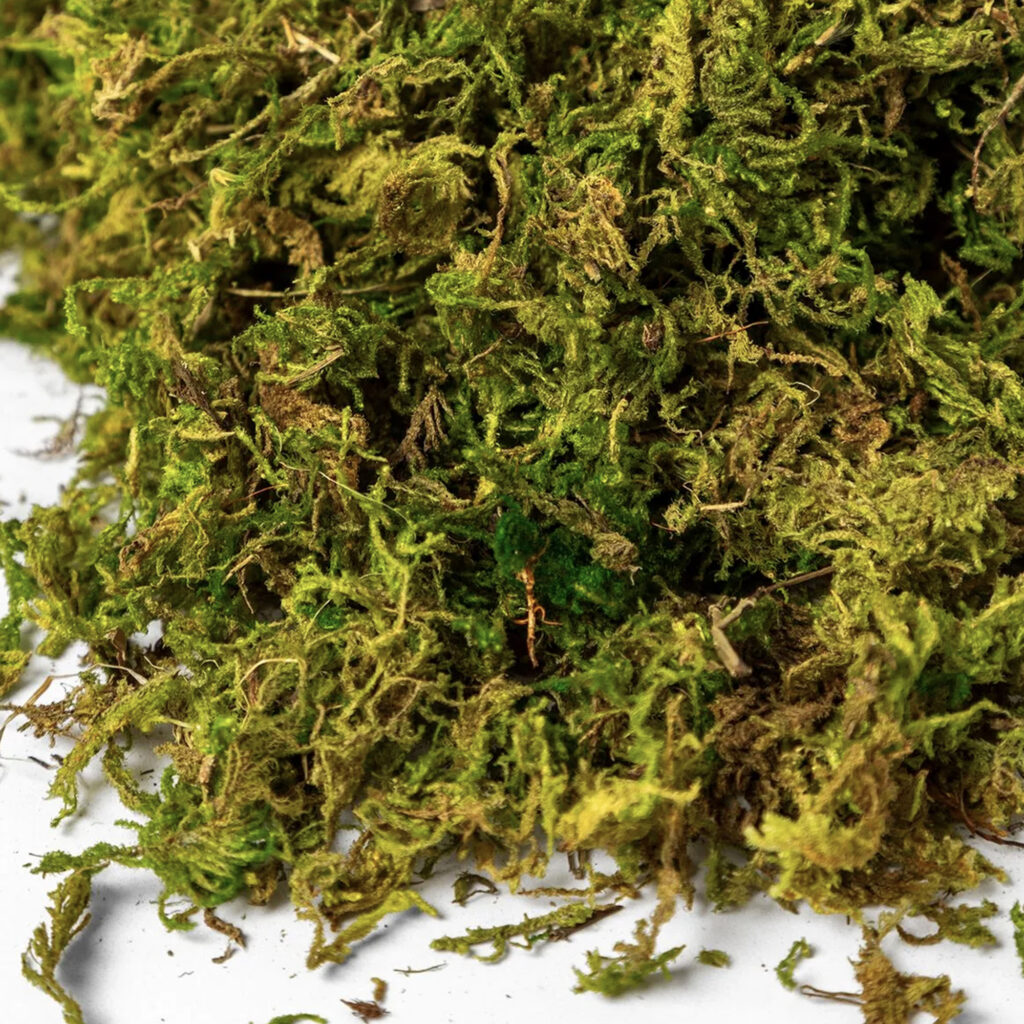 Artificial Evergreen Moss