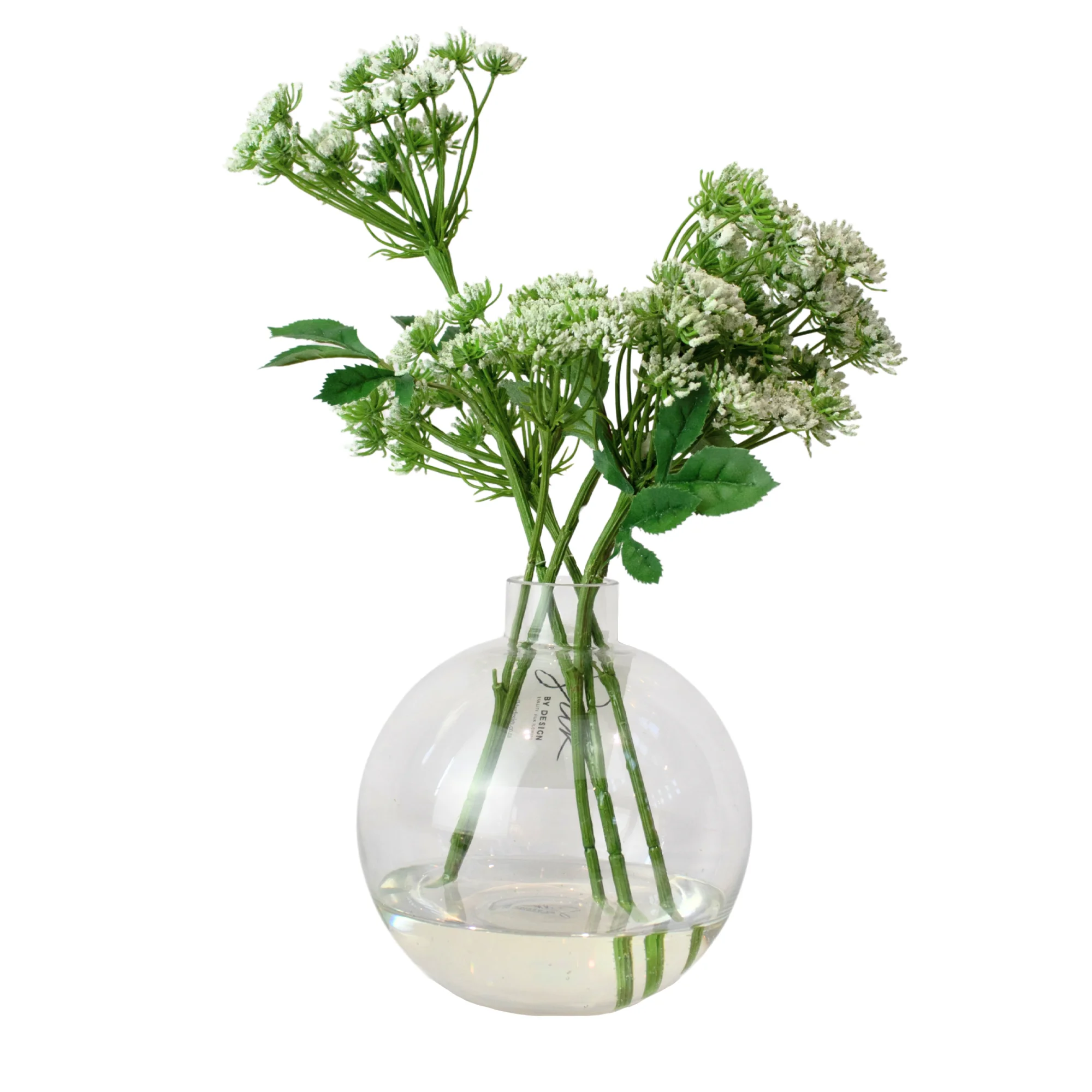 Queen Anne Lace Posy