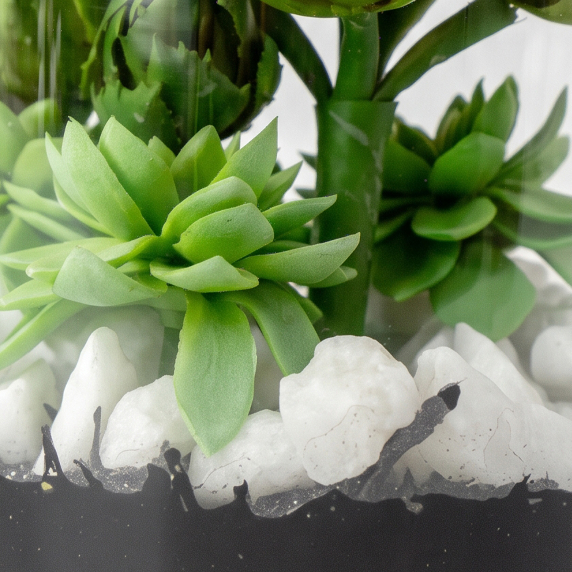 Small Green Aloe Vera & Echeveria Succulent Arrangement in Clear Glass Cylinder Vase – Terrarium Style