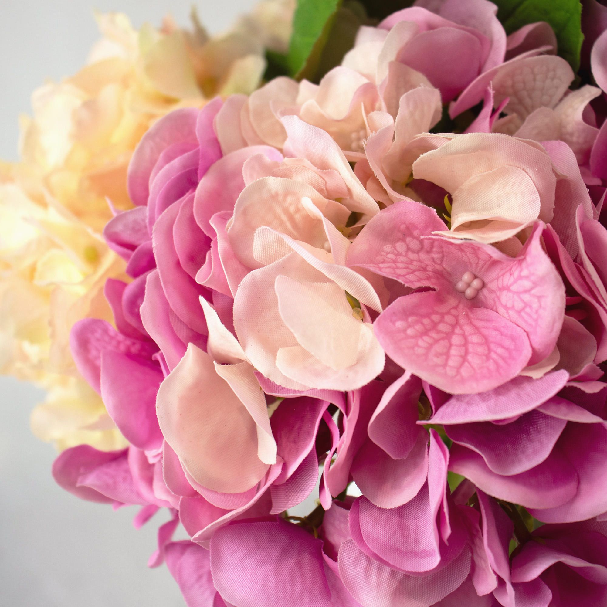 Large Pink Hydrangea & Queen Anne's Lace Arrangement in Curved Glass Vase – 65cm