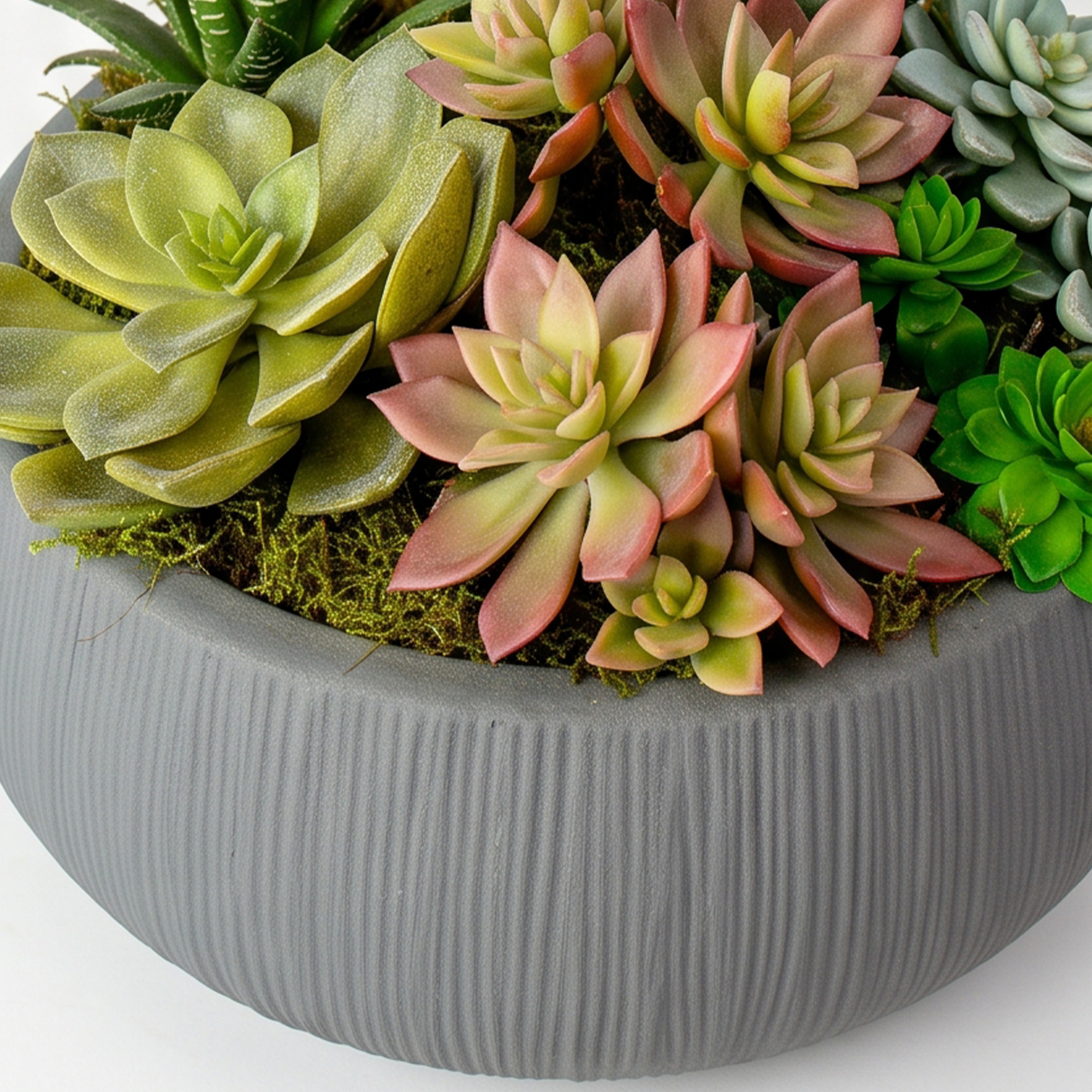 Large Mixed Succulent Garden in a Grey Casbah Fibre-Cement Planter – 12-Stem Display